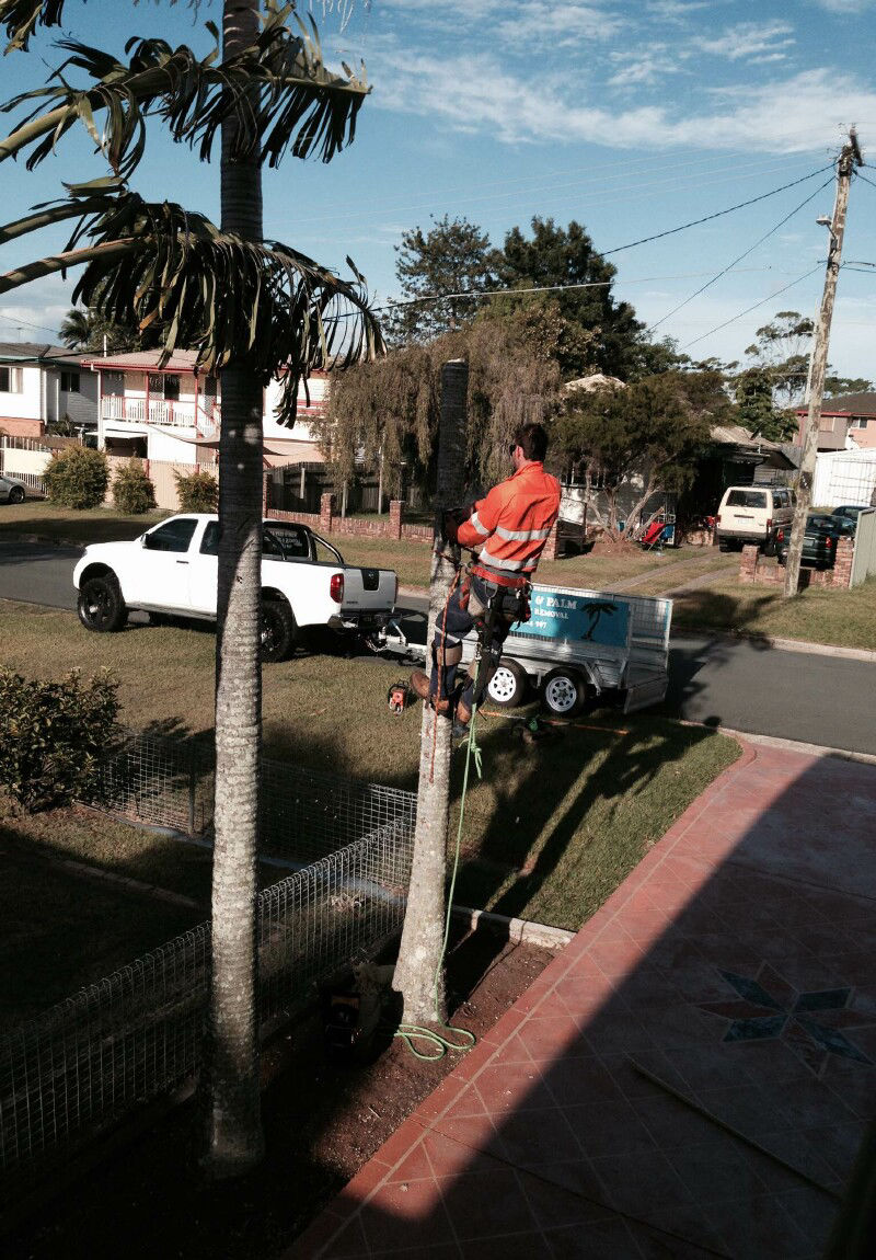 STUMP GRINDING STUMP REMOVAL REDCLIFFE