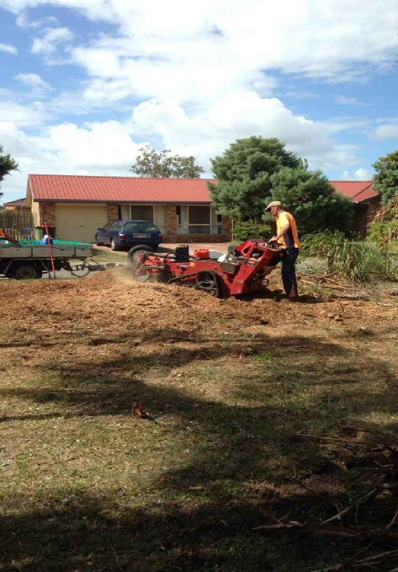 STUMP GRINDING STUMP REMOVAL REDCLIFFE