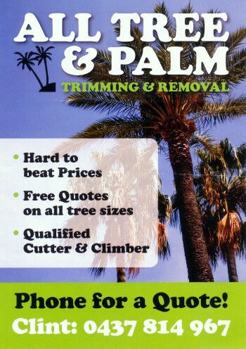 Stump Grinding Redcliffe