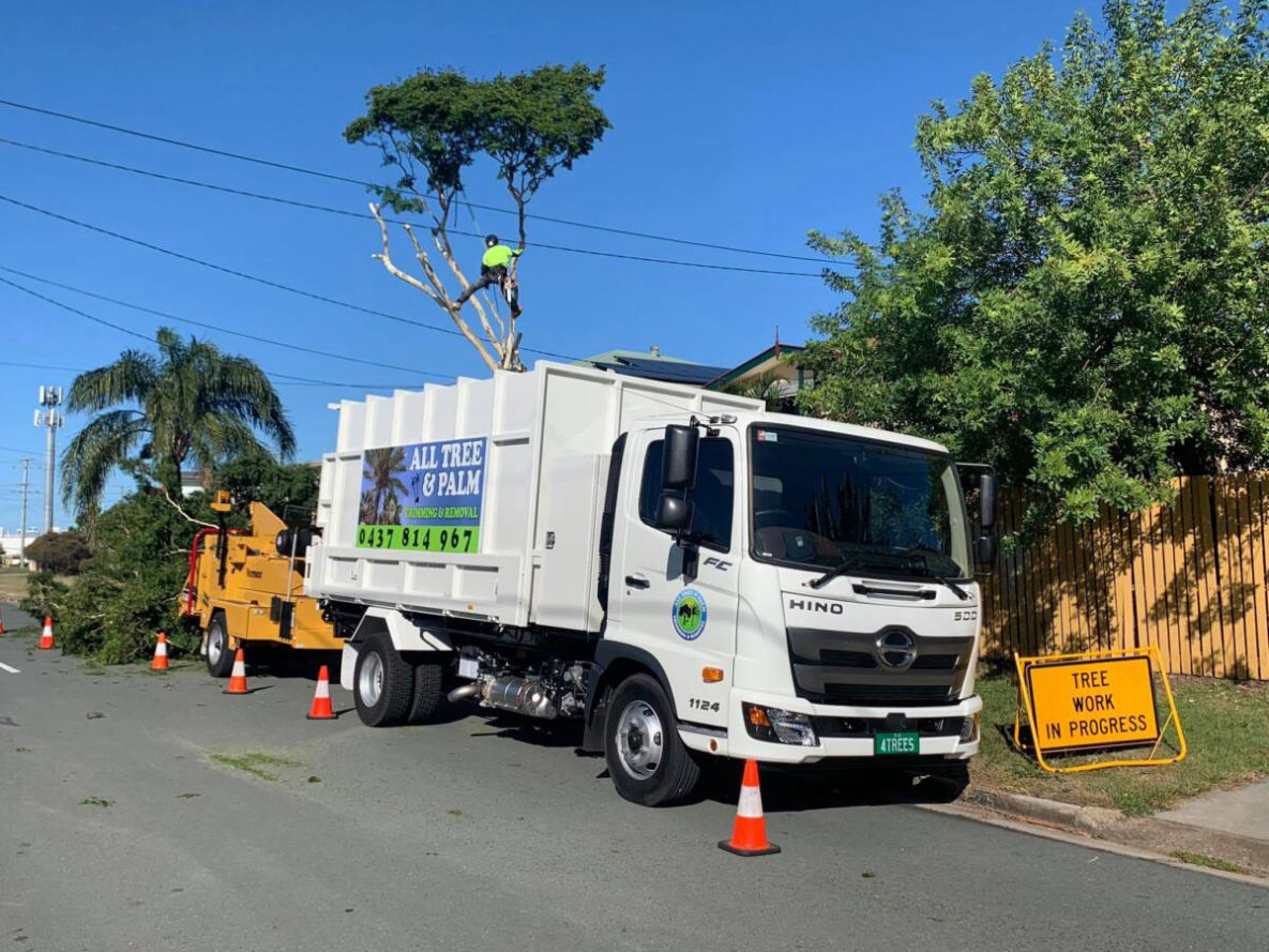 STUMP GRINDING STUMP REMOVAL NEWPORT