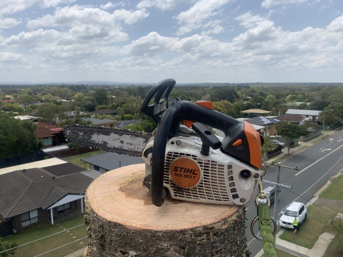 STUMP GRINDING STUMP REMOVAL NEWPORT
