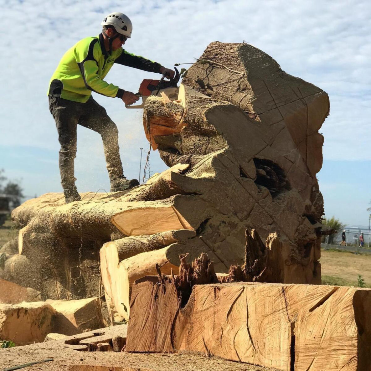 BRISBANE NORTHSIDE STUMP GRINDING STUMP REMOVAL