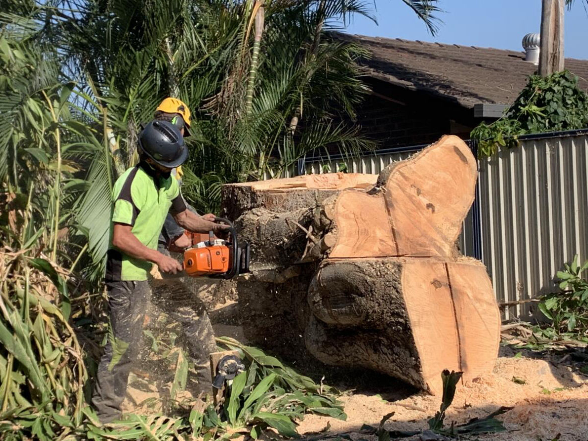 STUMP REMOVAL NARANGBA
