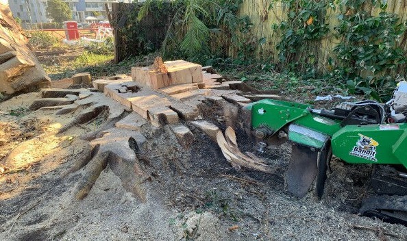 STUMP GRINDING STUMP REMOVAL REDCLIFFE