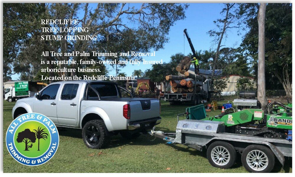 STUMP GRINDING STUMP REMOVAL REDCLIFFE